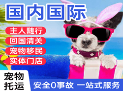 敦煌机场物流国际宠物托运 【国